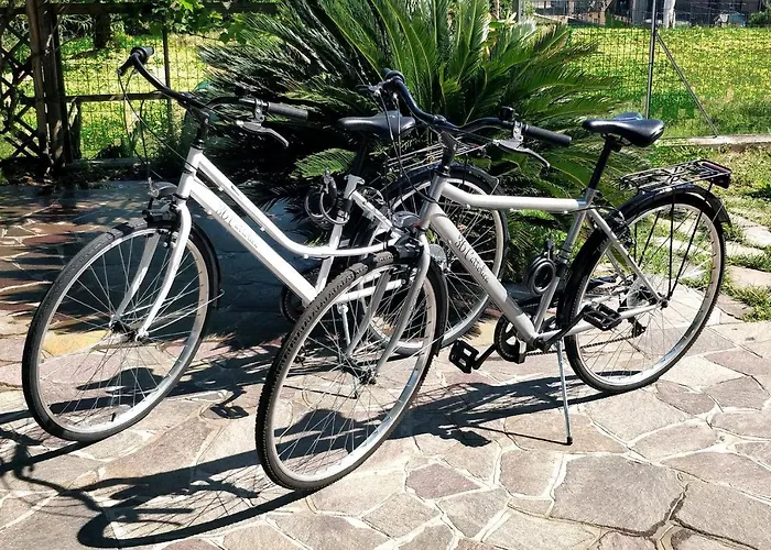 36 Cattolica