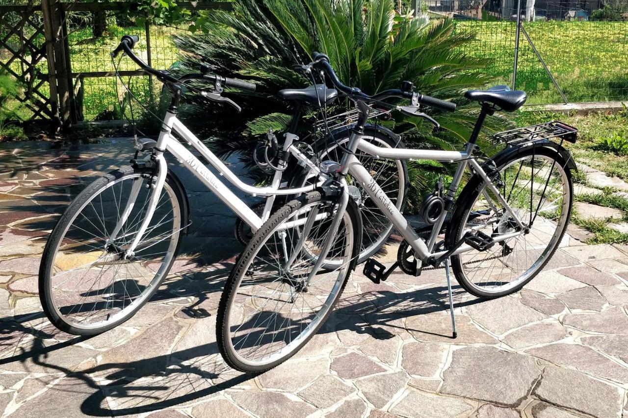 36 Apartment Cattolica